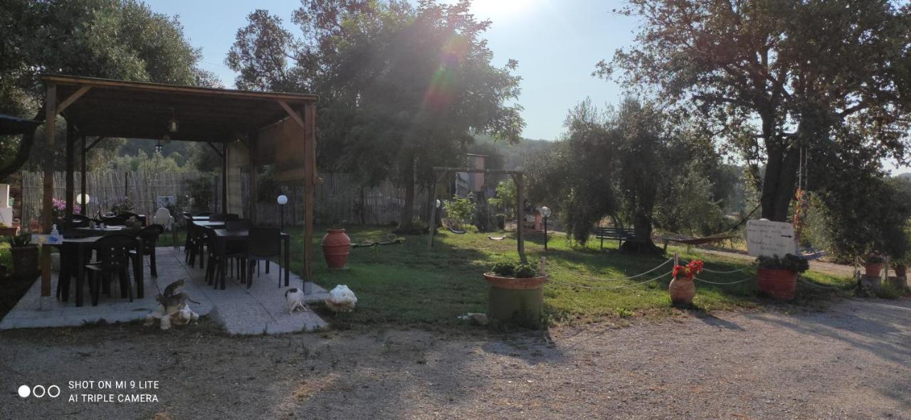Agriturismo Poggio All'Olivo Follonica Zewnętrze zdjęcie
