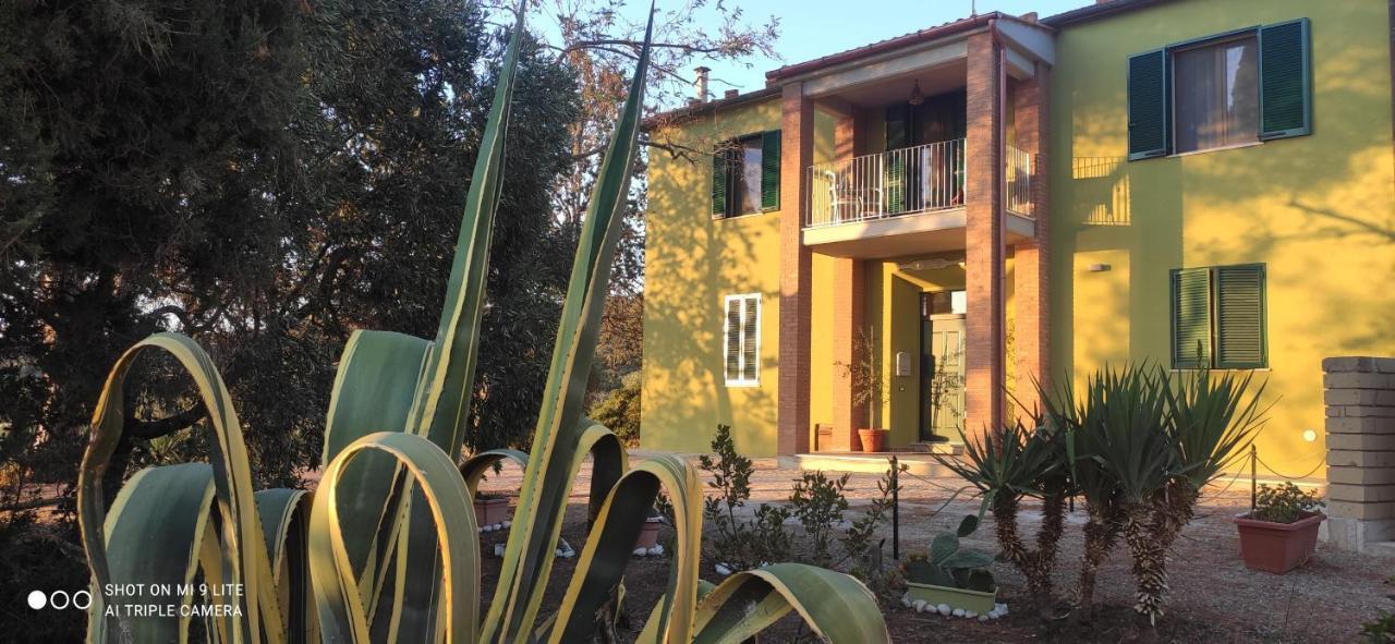 Agriturismo Poggio All'Olivo Follonica Zewnętrze zdjęcie
