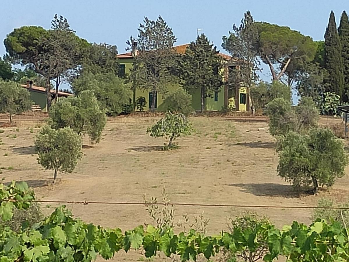 Agriturismo Poggio All'Olivo Follonica Zewnętrze zdjęcie