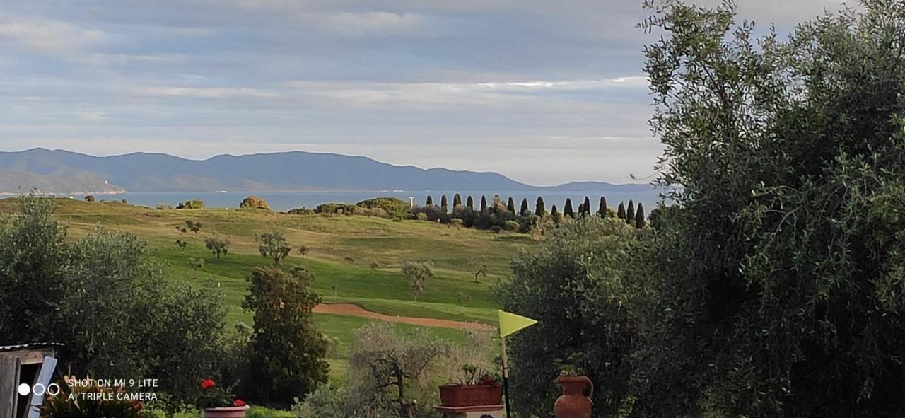 Agriturismo Poggio All'Olivo Follonica Zewnętrze zdjęcie