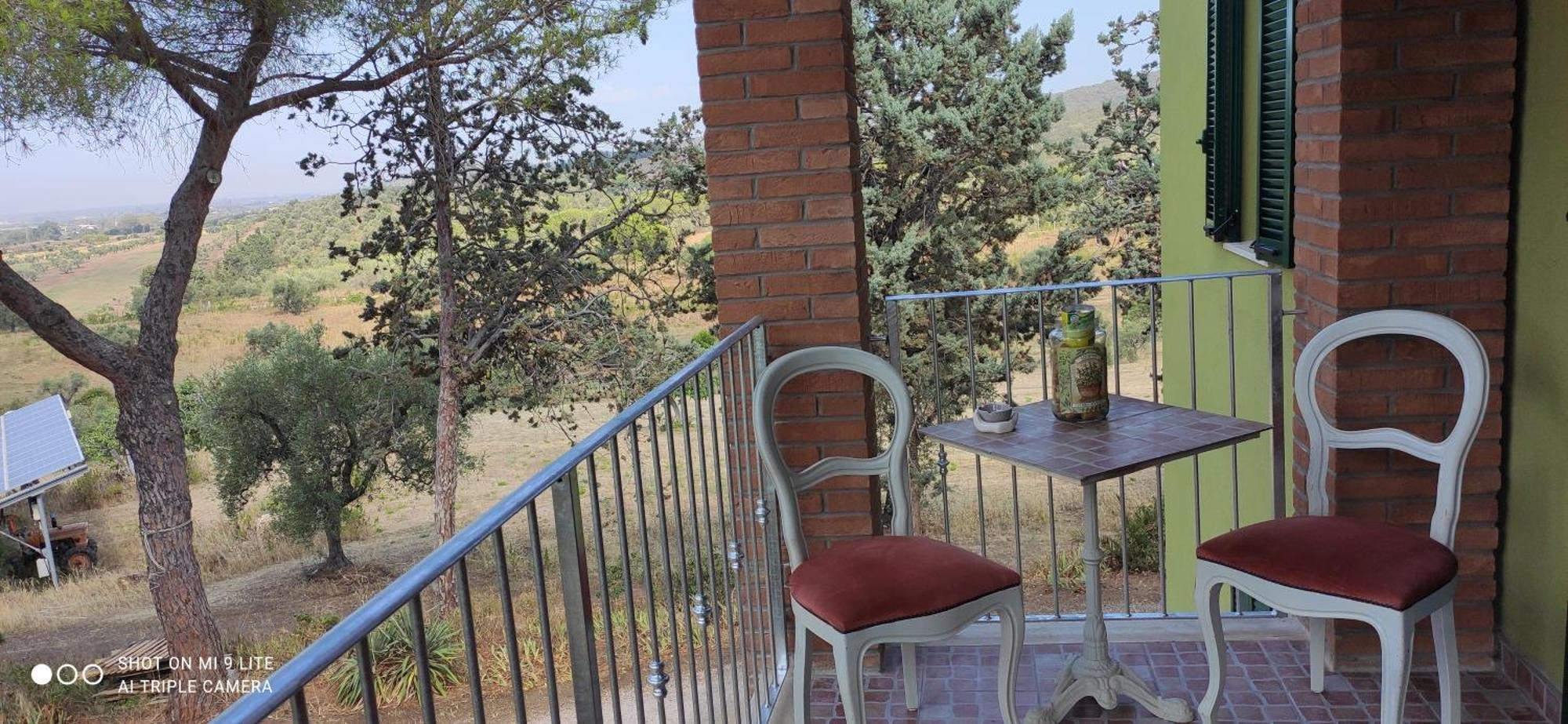 Agriturismo Poggio All'Olivo Follonica Pokój zdjęcie