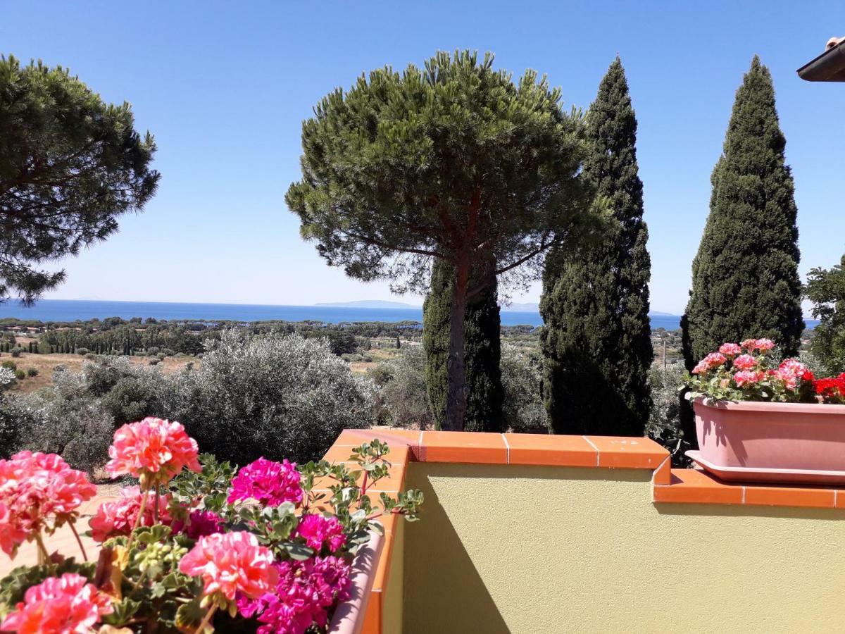 Agriturismo Poggio All'Olivo Follonica Zewnętrze zdjęcie