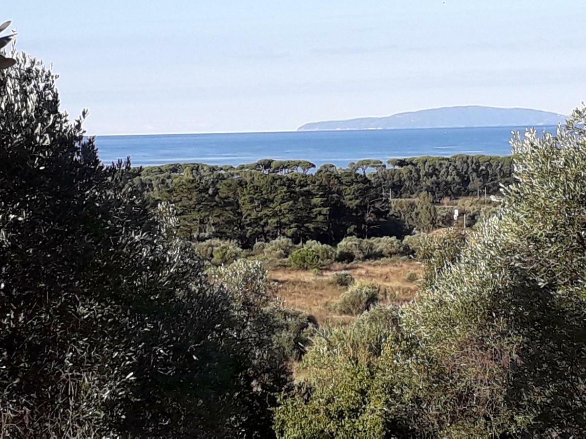 Agriturismo Poggio All'Olivo Follonica Zewnętrze zdjęcie